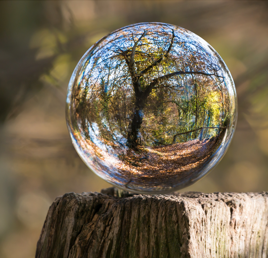 Sustainability First đź’›