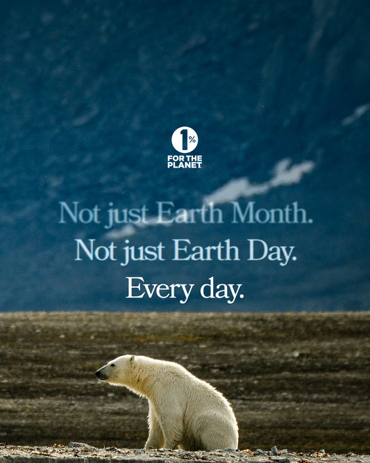 BeeBAGZ Celebrates Earth Month: Enjoy 20% Off and Make a Sustainable Choice!
