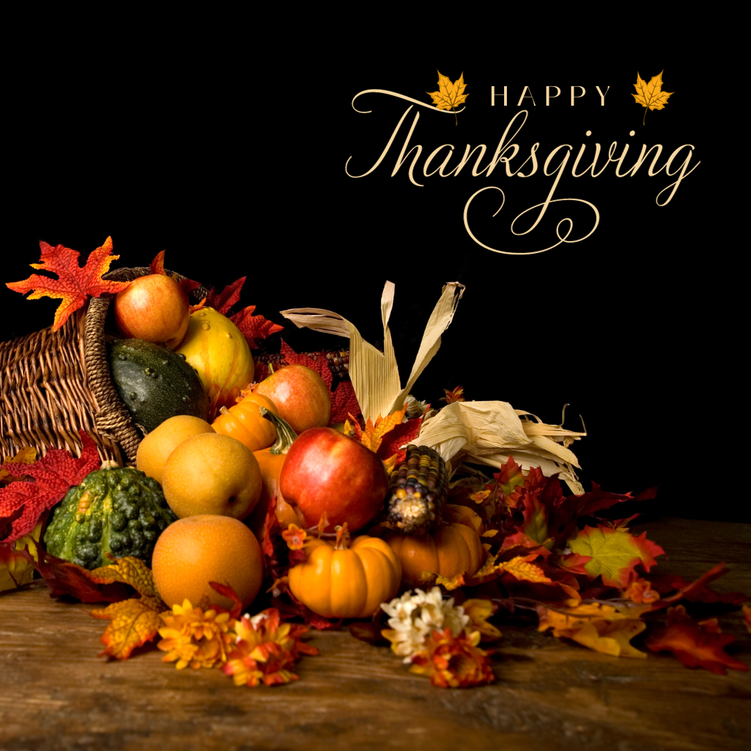 Gratitude, Gatherings, and Green Choices: Celebrate a Sustainable Thanksgiving!