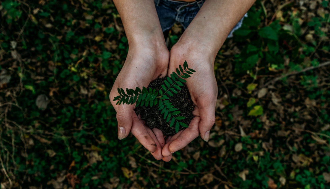 The Importance of Earth Day