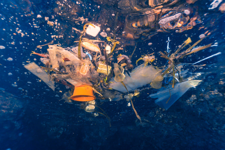 The Impact of COVID-19 on Single-Use Plastics